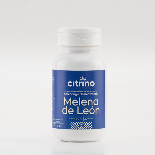 Melena de León Citrino